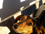 20151204_145414.jpg