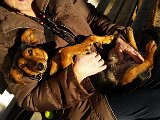 20151204_145521.jpg