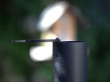 IMG_1871.CR2