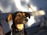 IMG_2023.CR2