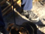 IMG_2031.CR2