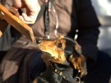 IMG_2040.CR2