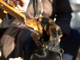 IMG_2043.CR2