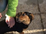 IMG_2076.CR2