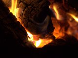 IMG_2181.CR2