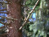 IMG_2253.CR2