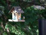 IMG_2293.CR2