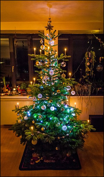 IMG_0839_Christbaum_2015