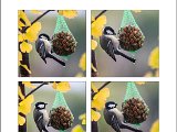 20151010_Maisen_Collage_V2_small.jpg