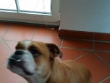 20151107_140435.jpg