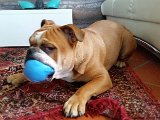 20151107_142238.jpg