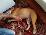 20151107_142332.jpg