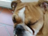 20151107_152323.jpg
