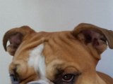 20151107_152635.jpg