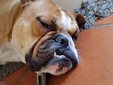 20151107_155438.jpg