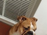20151107_181122.jpg