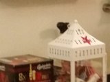 20151209_185443.jpg
