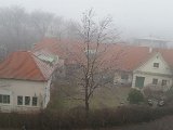 20151211_081201.jpg