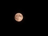 IMG_0904 Mond Konverter.jpg