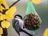 IMG_1391 small.jpg