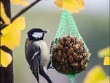 IMG_1394 small.jpg