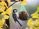 IMG_1394.jpg
