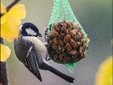 IMG_1399 small.jpg