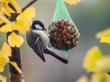 IMG_1399.jpg