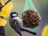 IMG_1406 small.jpg