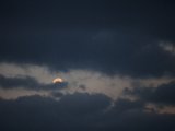 IMG_1779 v2.jpg