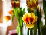 IMG_1643.jpg