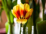 IMG_1645.jpg