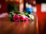 IMG_1685.jpg