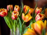 IMG_1694.jpg