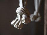 IMG_4442.CR2