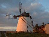 IMG_4548.CR2