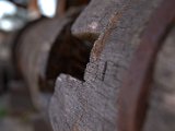 IMG_4595.CR2