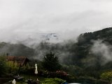 IMG_2257.jpg