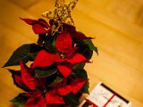 IMG_0225.jpg