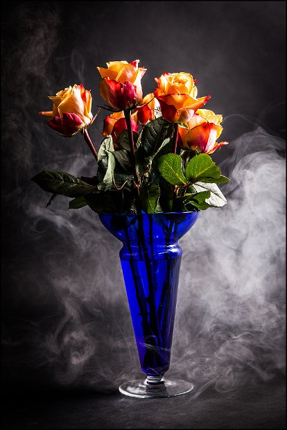 IMG_0019_rosen_nebel_small
