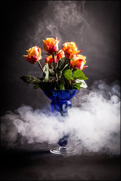 IMG_0024_rosen_nebel_small