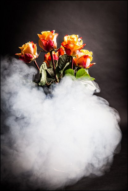 IMG_0030_rosen_nebel_small
