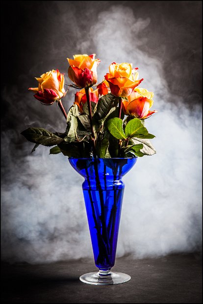 IMG_0038_rosen_nebel_small