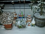 20160104_190609.jpg