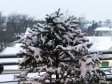 20160105_073219.jpg