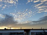 20160222_070154.jpg