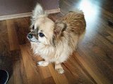 20160228_162343.jpg