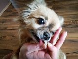 20160228_162416.jpg