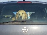 20160317_082143.jpg