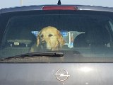 20160317_082146.jpg